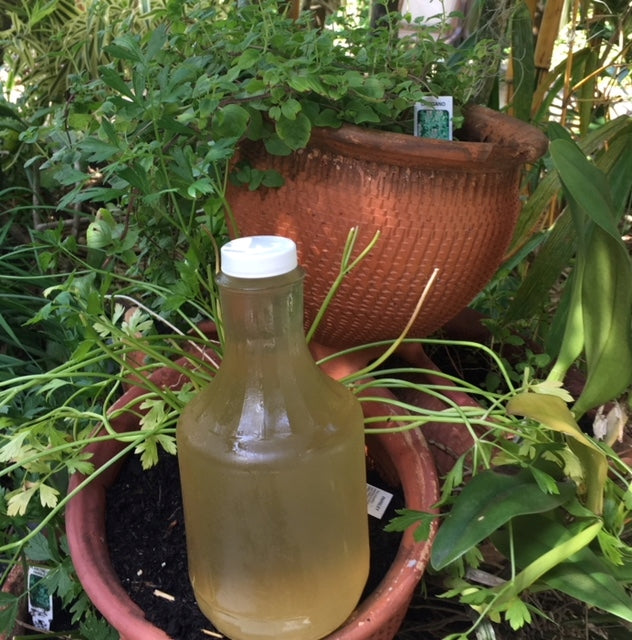 Raw Apple Cider