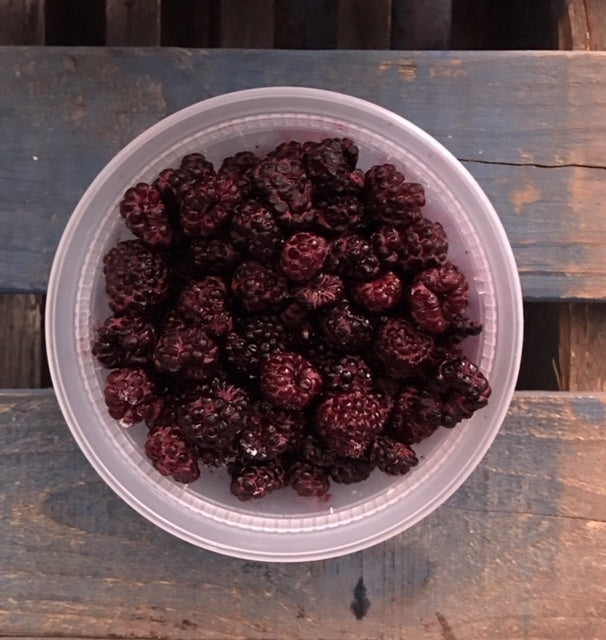 Black Raspberries, Fresh