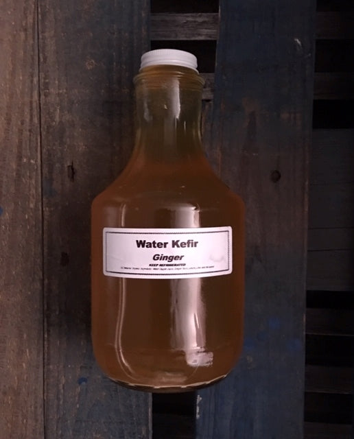 Water Kefir — Ginger