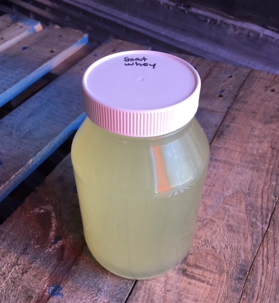 Raw Goat Whey