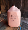 Chocolate A2/A2 Milk
