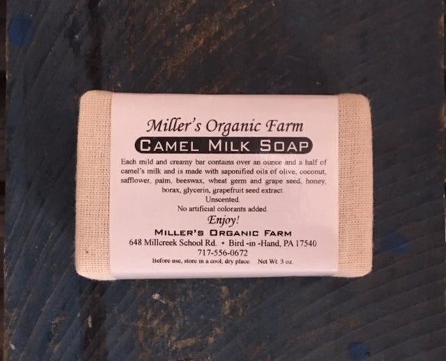 Camel Milk Soap — Sweet Citrus