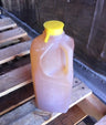 Raw Pear Cider