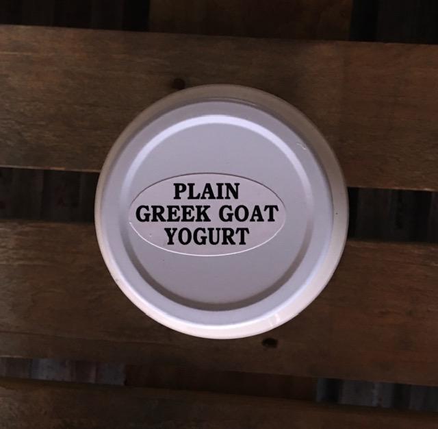 Raw A2/A2 Greek Yogurt — Plain