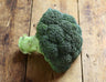 Broccoli, Frozen