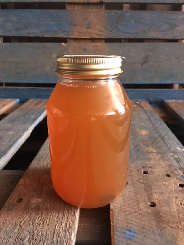 Kombucha Tea