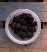 Blackberries, Frozen