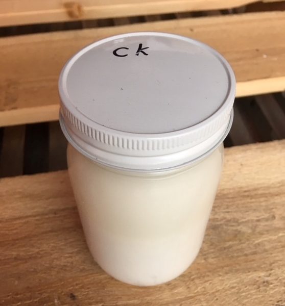 Camel Kefir – 16 oz