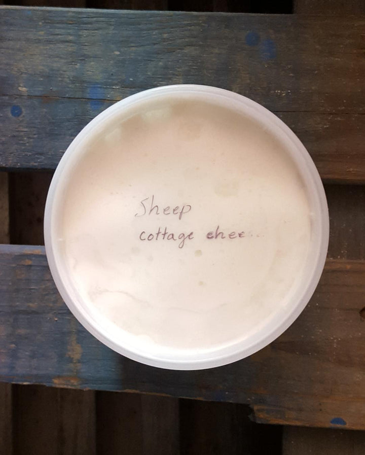 Fresh Sheep Cottage Cheese — No Salt