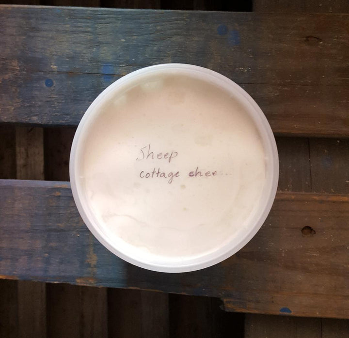 A2 Cottage Cheese — With Cream