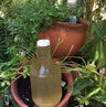 Raw Apple Cider