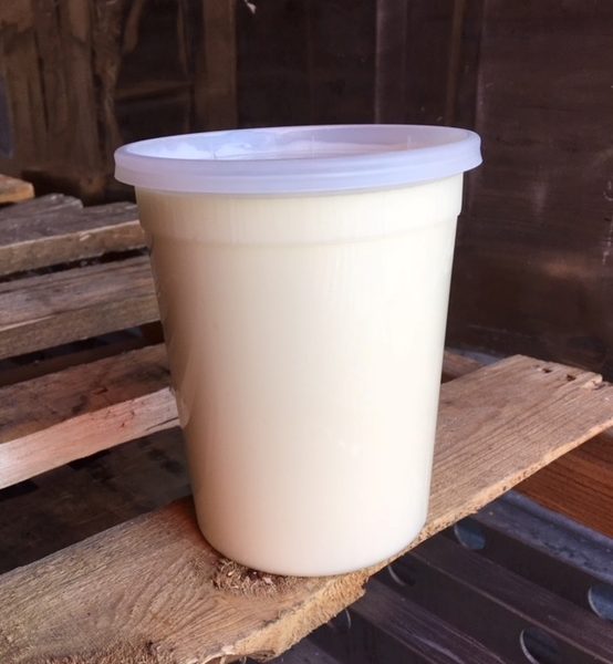A2 Light Cream