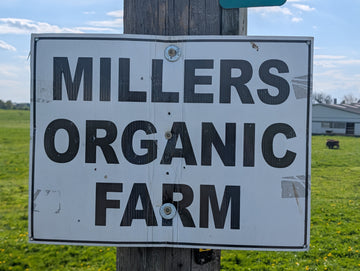 Amos Miller
