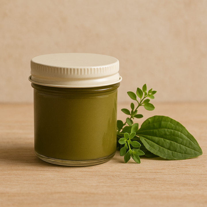 Chickweed & Plantain Salve — Herbal Skin Ointment (4 oz)