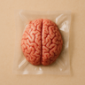 Buffalo Brain